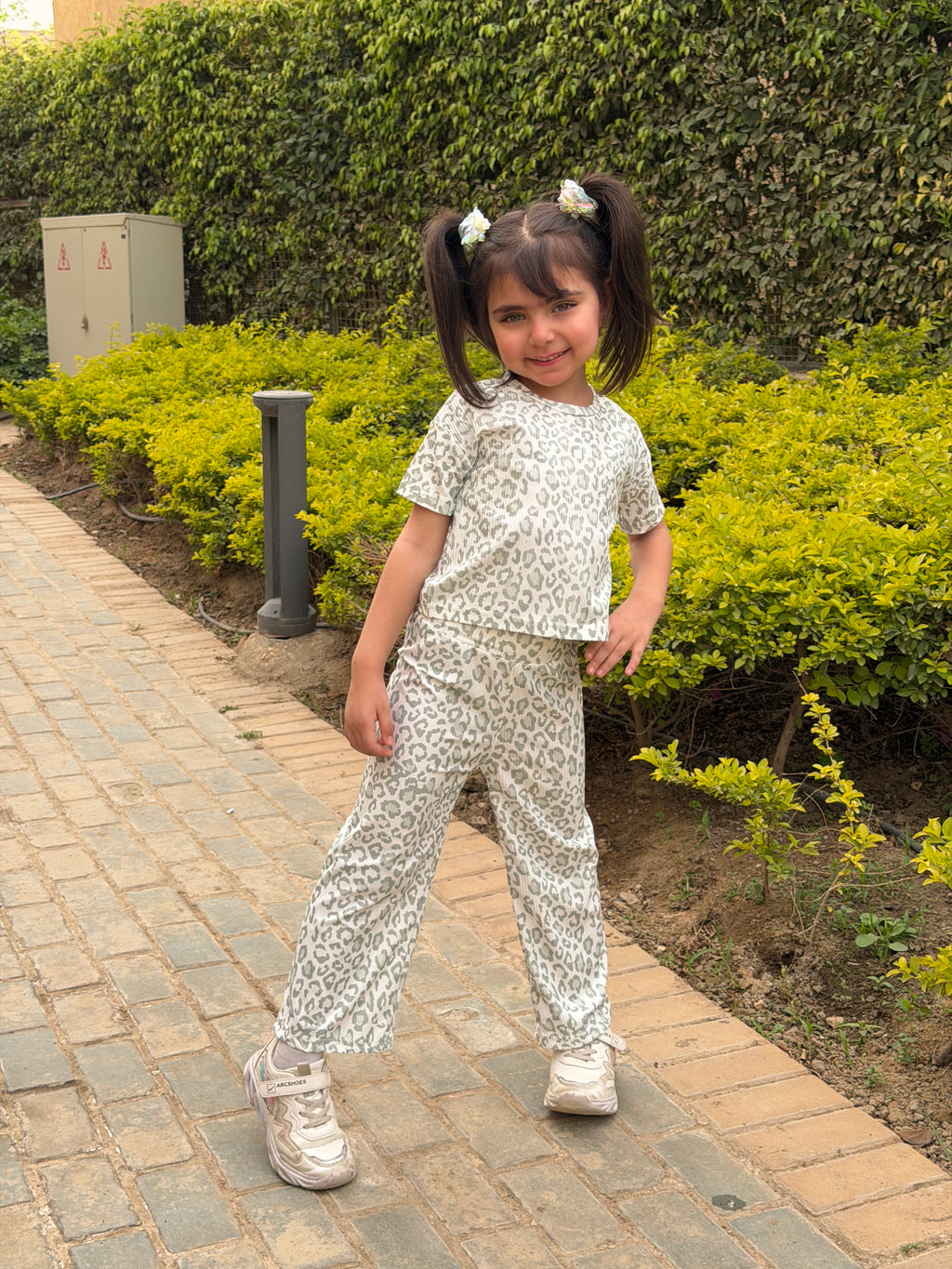 Set tiger