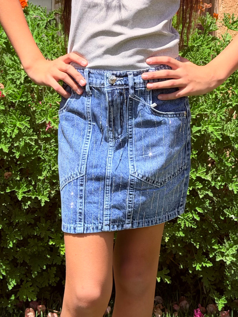 Skirt Strass